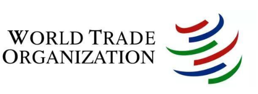 1995年印度加入WTO，開始承認西方國家的藥物專利