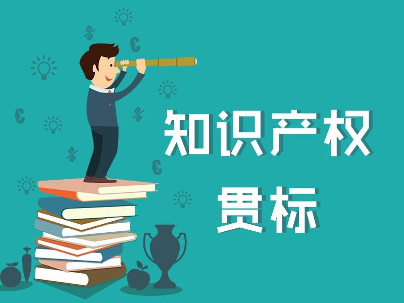 企業如何進行知識產權貫標