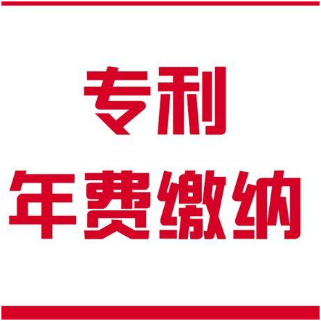 如何計算專利年費滯納金，年費的繳納標(biāo)準(zhǔn)是多少？