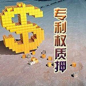 如何填寫“專利權(quán)質(zhì)押登記變更申請(qǐng)表”？